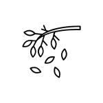 Fall Icon