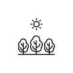 Summer Icon