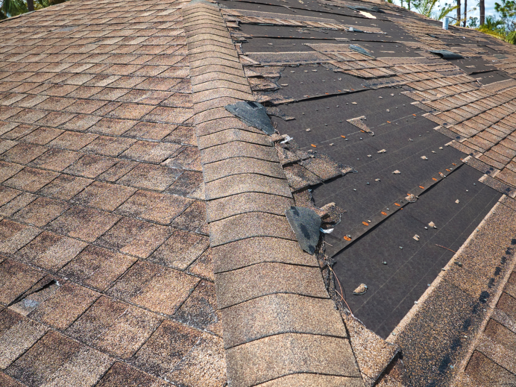 badly damaged roofing shingles